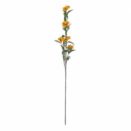 Декоративные цветы ENGARD, Мимулюс, 69 см, желтый