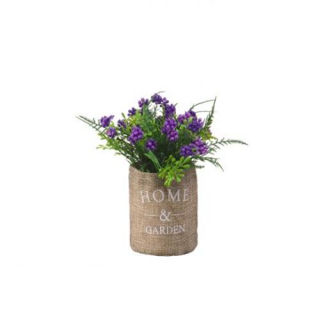 Декоративные цветы ENGARD, Цветущий кипарис, 8*8*17 см, фиолетовый