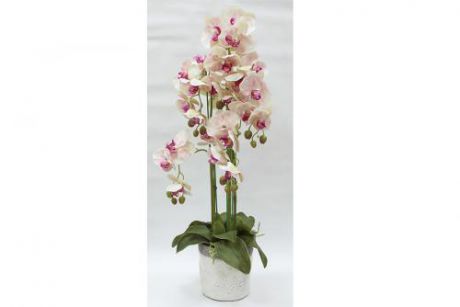 Декор.цветы Орхидеи св.розовые в керам.вазе
