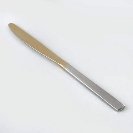 Нож столовый НЫТВА, Торжество, 20 см, с покрытием