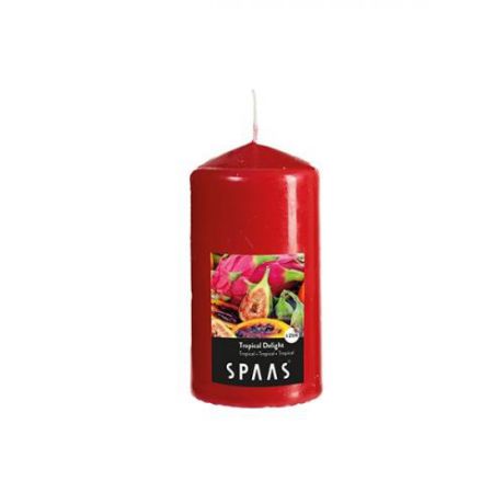 Свеча-столб ароматическая SPAAS, Тропический восторг, 15*8 см