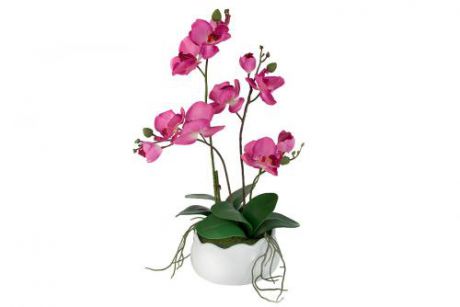 Декор.цветы Орхидея бордо в керамической вазе