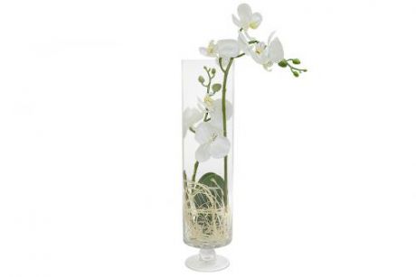 Декоративные цветы Орхидея белая в стекл вазе