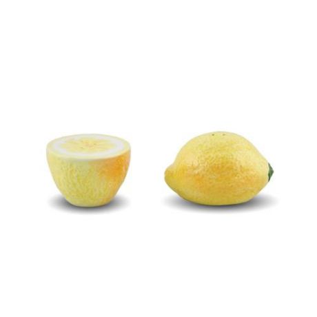 Набор для специй Ceramiche Mirella, Лимоны, 2 предмета