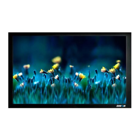 Экран CACTUS FrameExpert CS-PSFRE-200X113, 200х113 см, 16:9, настенно-потолочный