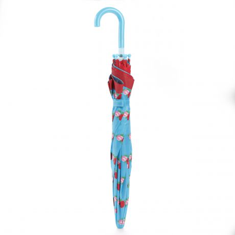 Зонты Mary Poppins Rose Bunn с окошком 46 см