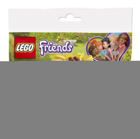 LEGO LEGO Конструктор LEGO 30404 Цветок дружбы