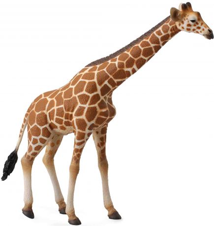 Фигурки животных Collecta Сетчатый жираф 16 см