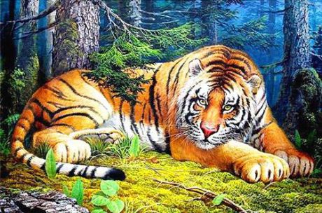 Алмазная вышивка «Бенгальский Тигр» Рыжий Кот, 30х40 см