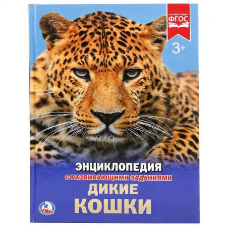 "УМКА". ДИКИЕ КОШКИ (ЭНЦИКЛОПЕДИЯ А4) ТВЕРДЫЙ ПЕРЕПЛЕТ. БУМАГА МЕЛ, 48 СТР., 197Х255ММ в кор.15шт