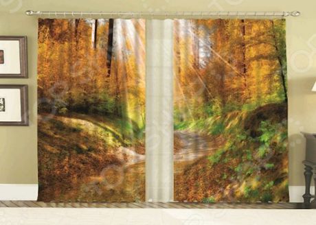 Комплект фотоштор с тюлем «Золотая Осень»