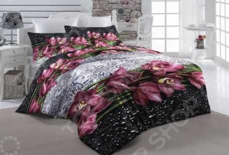 Комплект постельного белья ТамиТекс «Орхидея на стекле»