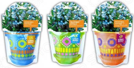 Набор для выращивания Happy Plant «Незабудка голубая»
