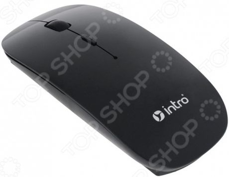 Мышь Intro MW650