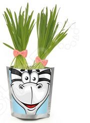 Набор для выращивания Happy Plant «Зебра»