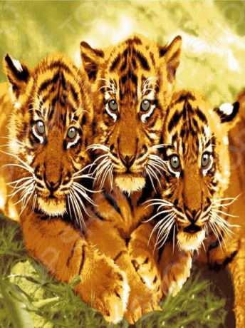 Плед Guten Morgen «Тигрята»