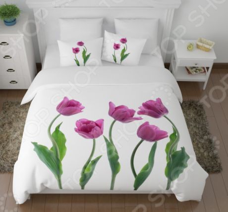 Комплект постельного белья Сирень «Крупные тюльпаны»