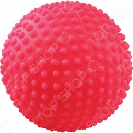 Игрушка для собак ЗООНИК «Мяч игольчатый». В ассортименте