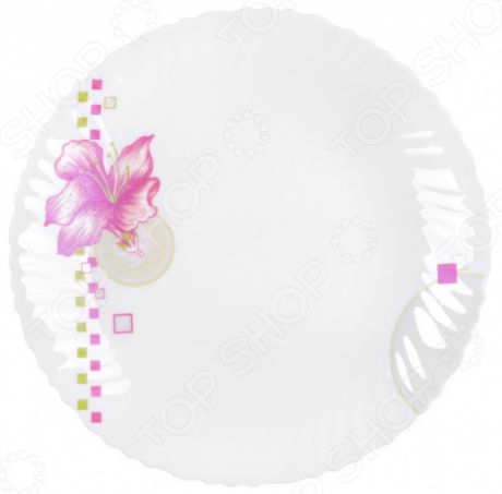 Тарелка обеденная Miolla «Амарант»