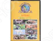 Видео о животных Wild America