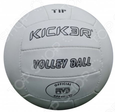 Мяч волейбольный Larsen Kicker Tip