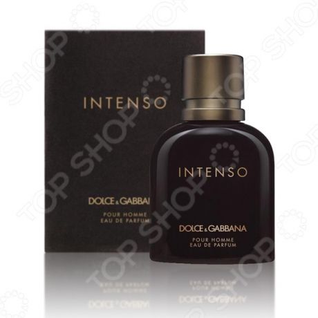 Парфюмированная вода для мужчин Dolce&Gabbana Intenso PH