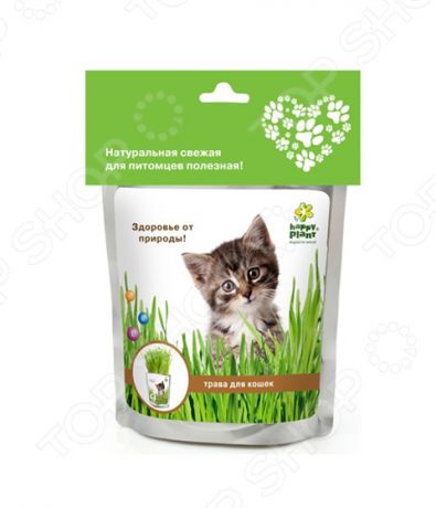 Трава для кошек Happy Plant hp-41