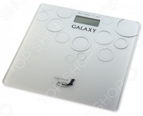 Весы Galaxy GL 4806