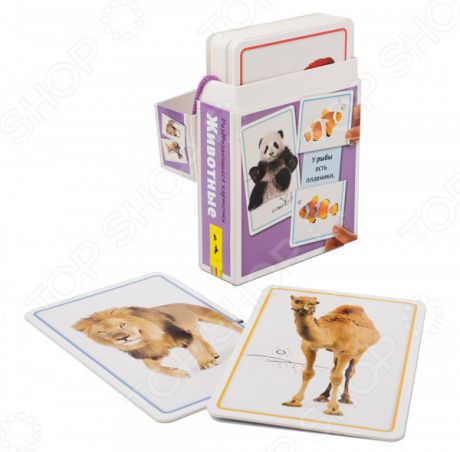 Набор развивающих карточек Росмэн «Животные»