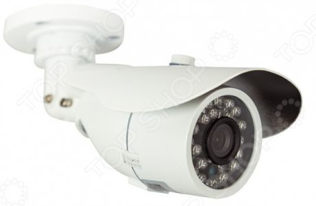 Камера видеонаблюдения цилиндрическая уличная Rexant 45-0261