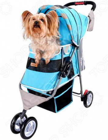 Коляска для животных Ibiyaya New I-Cute Pet Buggy