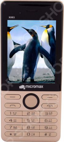 Мобильный телефон Micromax X803