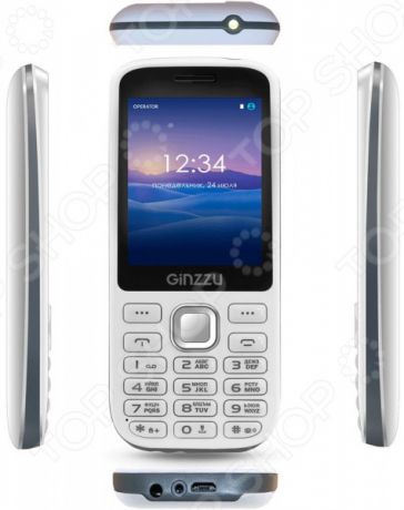 Мобильный телефон Ginzzu M201