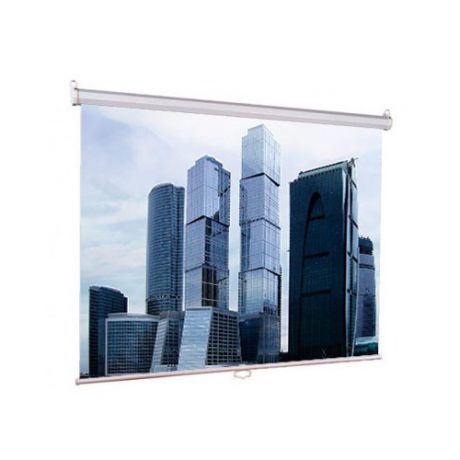 Экран LUMIEN Eco Picture LEP-100105, 160х160 см, 1:1, настенно-потолочный