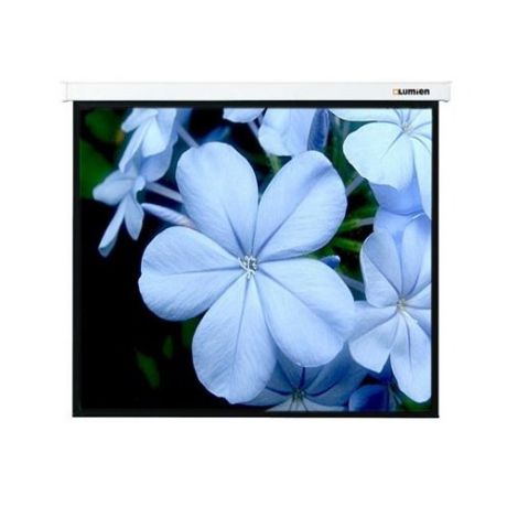 Экран LUMIEN Master Picture LMP-100114, 406х305 см, 4:3, настенно-потолочный белый
