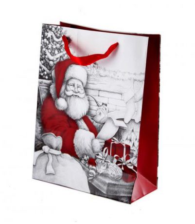 Пакет подарочный, Дед мороз с подарками, 26*32 см