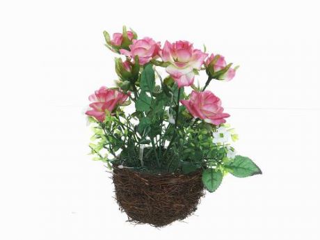 Декоративные цветы Gloria Garden, Розы, 17*14 см, в горшке