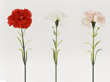 Декоративный цветок Gloria Garden, Гвоздика, 48 см