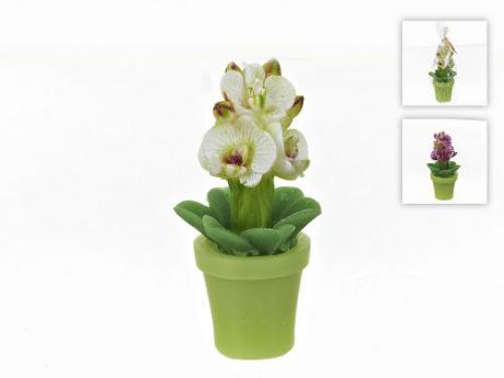Свеча декоративная ENS, Орхидея, 6,5*7*14,5 см