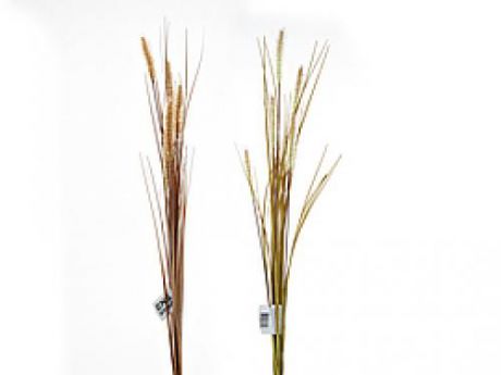 Декоративные цветы ENS, Аир тростниковый, 107 см