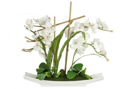 Декоративные цветы Орхидея белая на керамической подставке