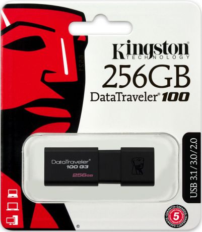 USB флешка Kingston DataTraveler 100 G3 256Gb USB 3.0