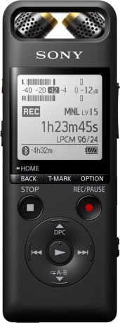 Диктофон Sony PCM-A10 (черный)