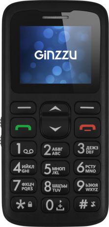 Мобильный телефон Ginzzu R11D (черный)