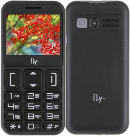 Мобильный телефон Fly Ezzy 9 (черный)