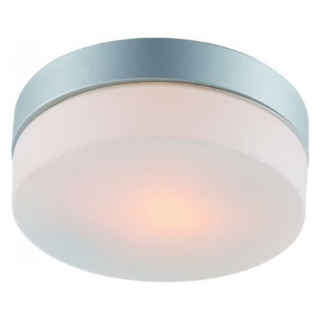 светильник настенно-потолочный д/ванной Aqua 1х60Вт E27 230В металл крашеный серебро