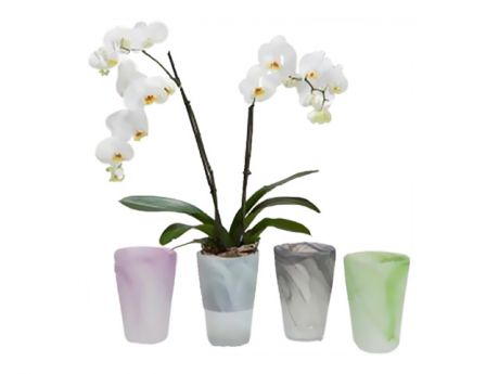 кашпо для орхидей Snow Twirl 309 d-17 см, стекло