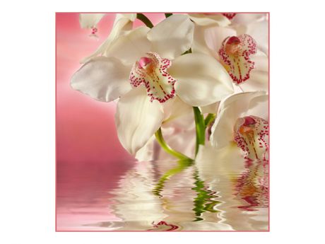 фотообои 196х201см Розовая орхидея #194