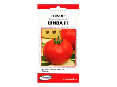 семена томат Шива F1 10шт
