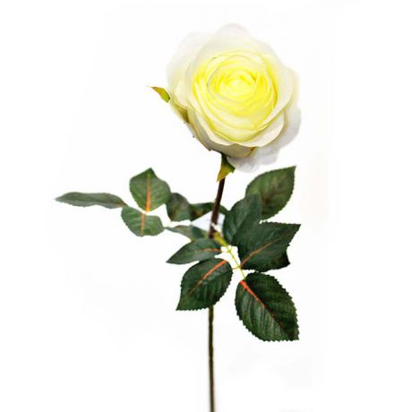 растение искусственное Роза кремовая 70см